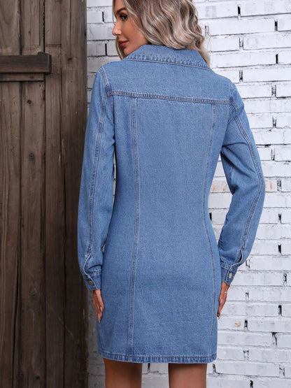 The Ruth Ann Long Sleeve Denim Dress